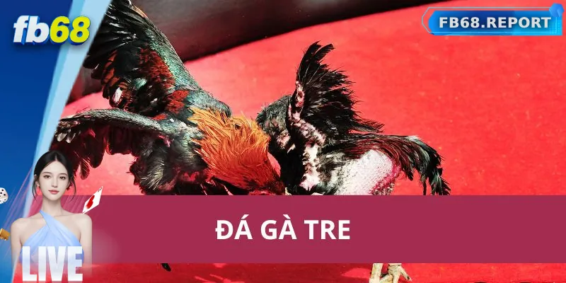 Chiến lược đặt cược đá gà tre hiệu quả