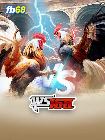 Đá Gà WS168